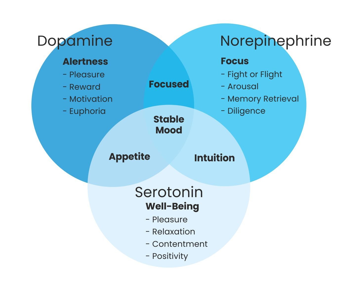 Dopamine, Norepinephrine, and Serotonin.