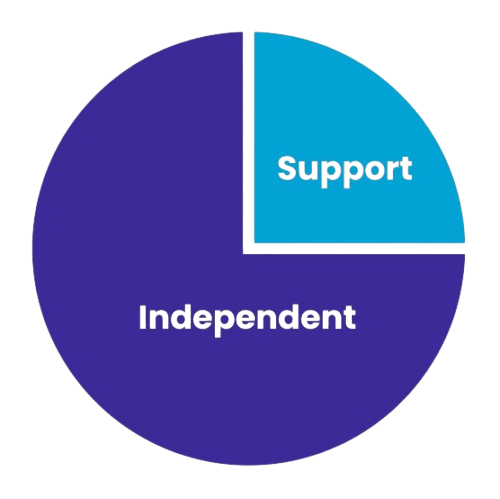 Autism Spectrum Disorder Level 1