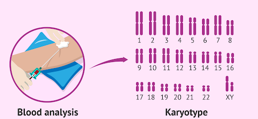 genetic tests for autism and related developmental conditions