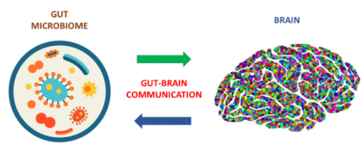 Gut-Brain Communication Problems