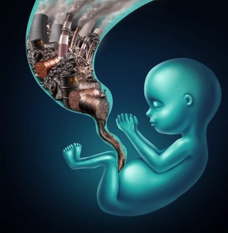Gut-Microbiome-Based Autism Prevention Program for Parents