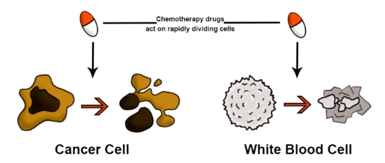 Chem-immune system