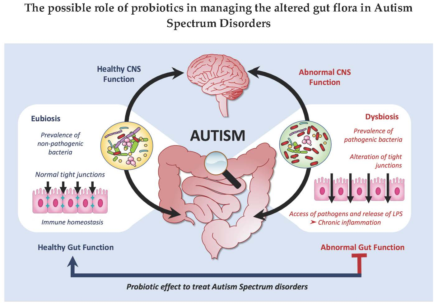 FMT for Autism