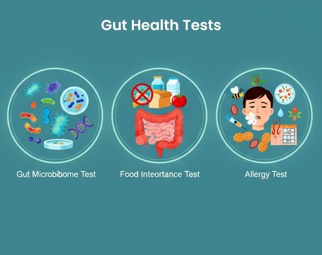 gut health test in Hyderabad